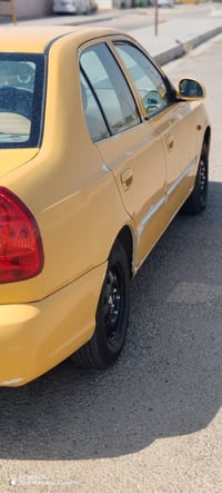 فيرنا • ٢٠١٤ • كربلاء