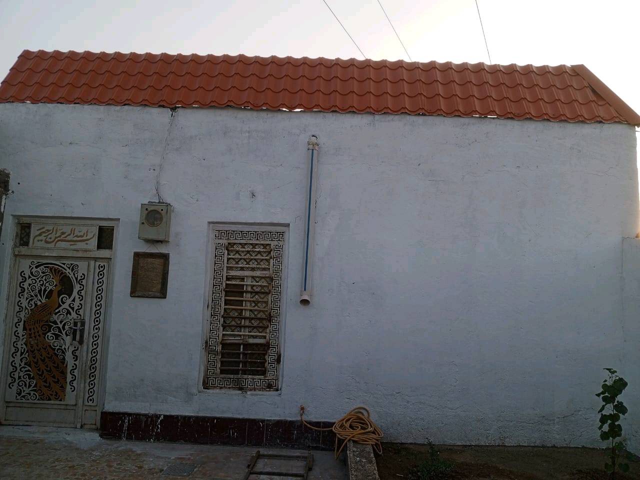 الديوانية • سند ٢٥ • ١٢٠م