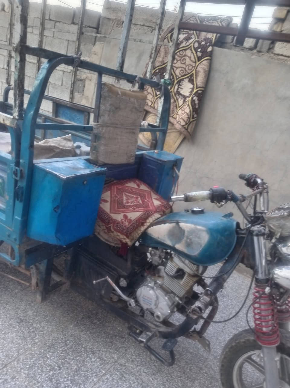 صقر للبيع ***********
بغداد
العبيدي
سعر 900

