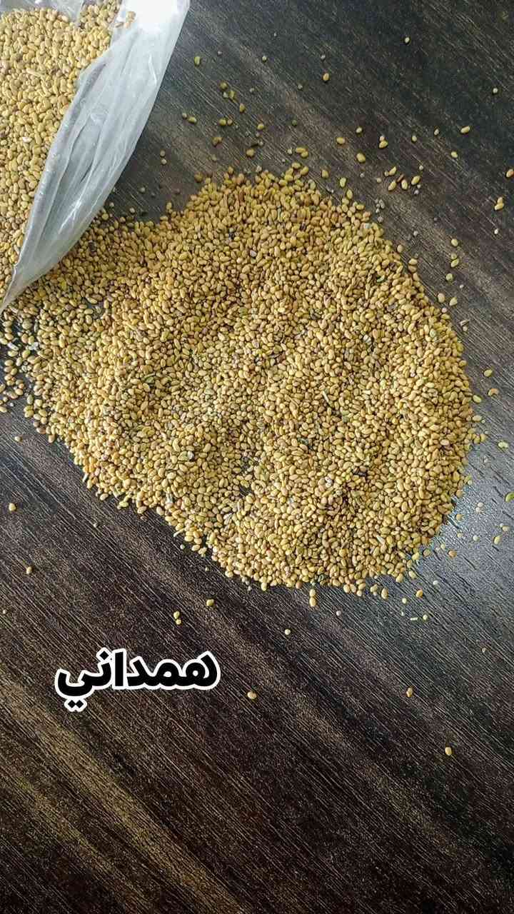 جت همداني • فرنسي • توصيل