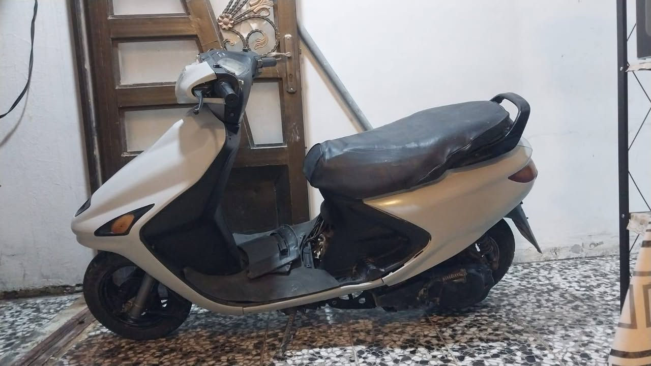 فراشه فحل • بدها بطارية • بدها كعكات