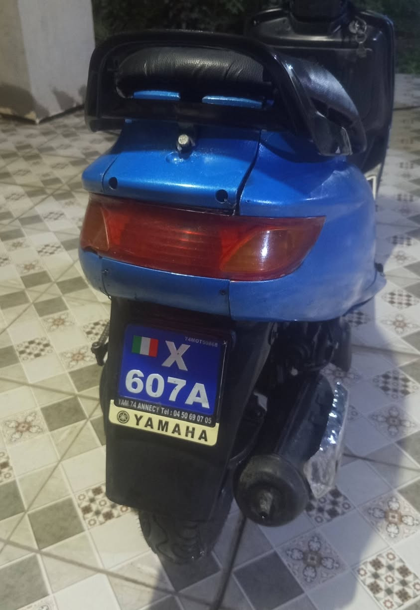 فراشة • نثية • مستعجل