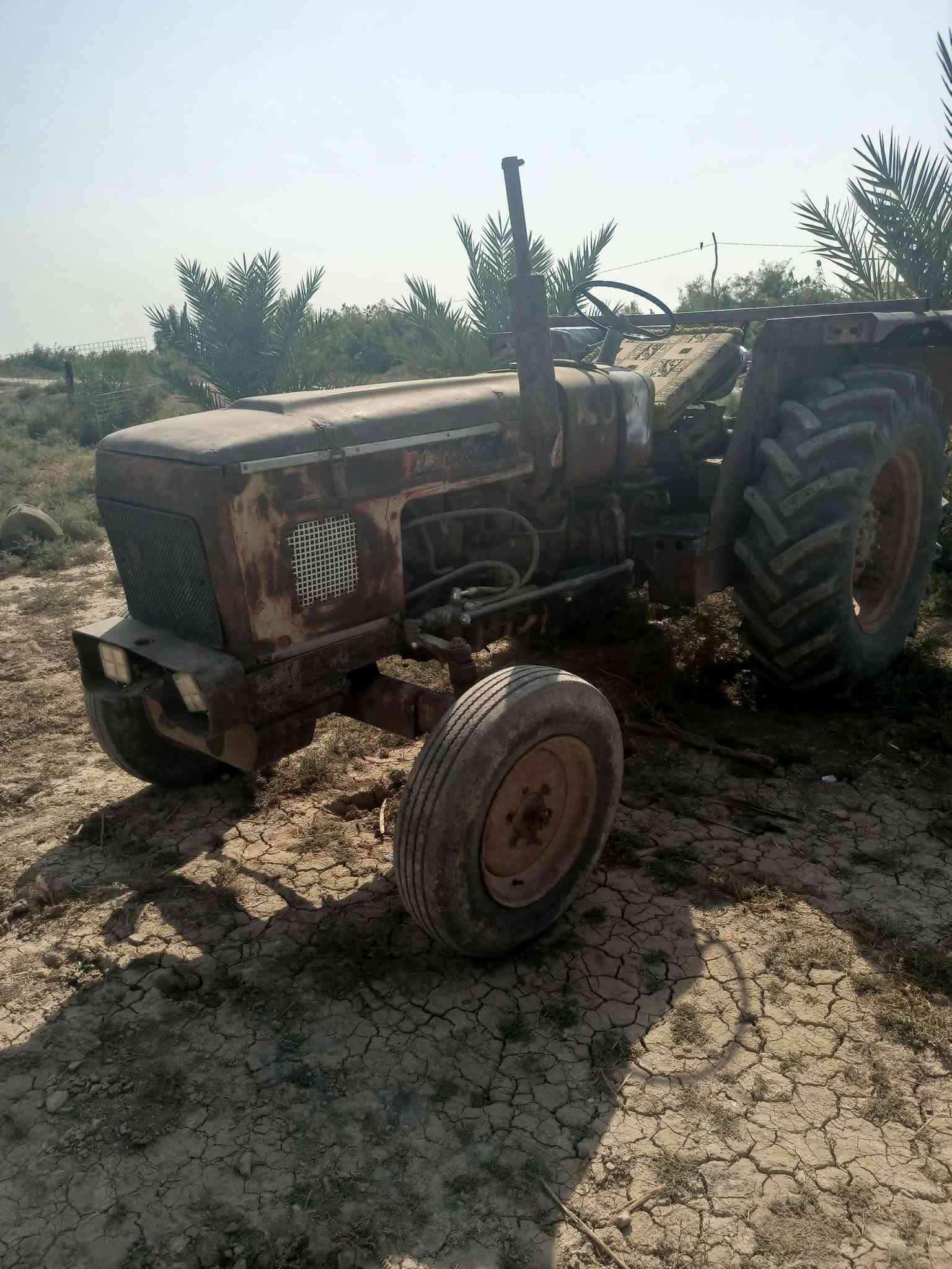 عنتر • ١٩٨٦ • سنوية