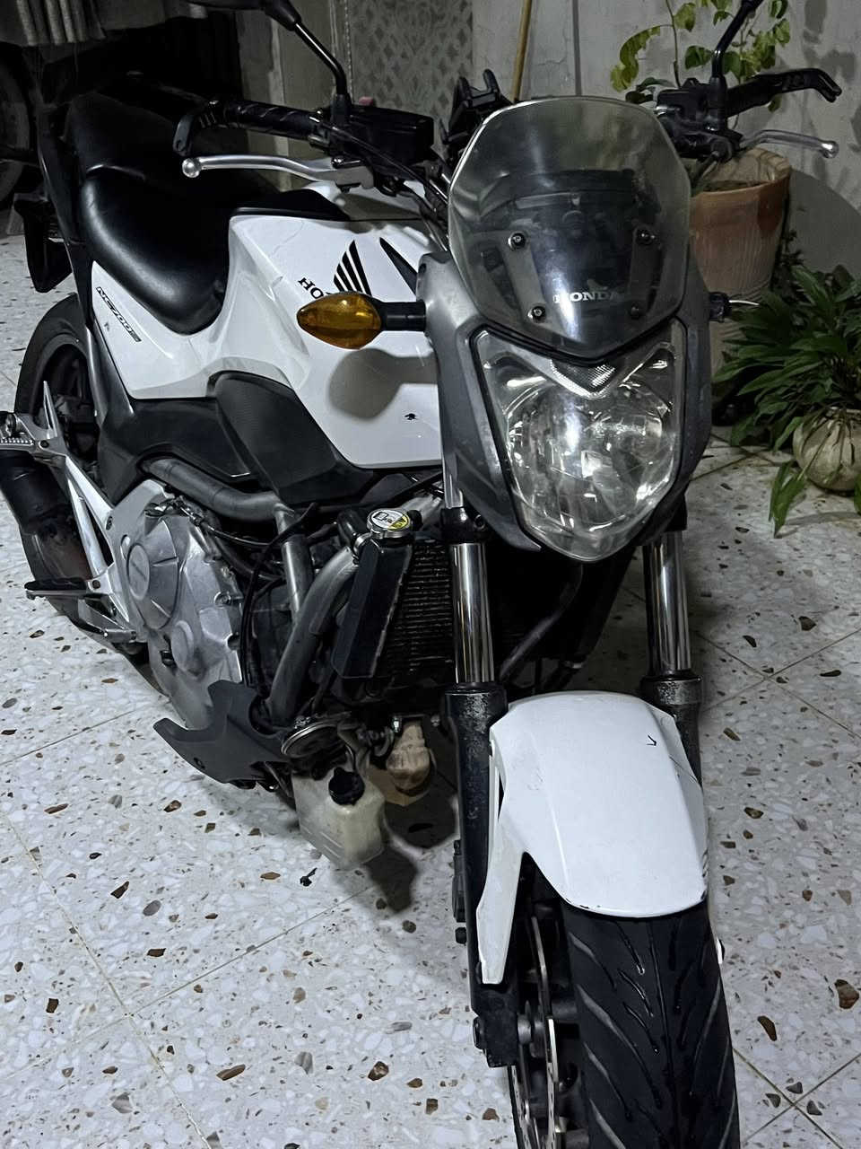 السلام عليكم شباب للبيع هوندا nc700s موديل 13 محرك 700cc بستمين نوزل كلش اقتصاديه مكفوله كفاله عامه وارد يابان ماشيه 33 الف حقيقي الدارجه مامتعوبه دهن كله موتل تايرات امامي خلفي جديد السعر 23 ورقه وبيه مجال بسيط مكاني كركوك للاستفسار اكثر بدون اوراق ***********
