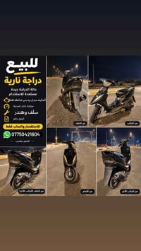 ماكس عدلة • ميسان • مجال