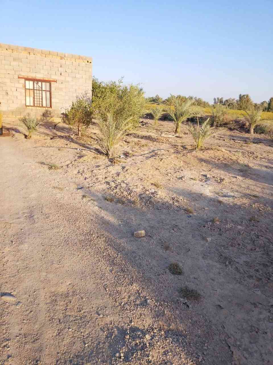 دار للبيع مساحه اربعه دونم طريق مبلط يبعد عنها 100 متر والسبيس وأصلها للباب ماي وكهرباء وبستان خمسين نخله شويثيه البيت مساحته 200 متر جاهز جيرانها حميد زراك المزيوداوي و حسين عليوي السعر 25 مليون رقمي ***********
