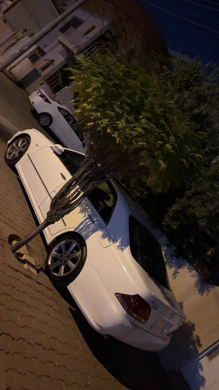 شاهینە موس موس ٢٠٠٧ لۆک ١٨٠ گێر گەورەی مەکینە پچوک فول فول مواسەفات ئاوێنە ئیشارەت بەسمەکانی ئیش ئەکا سلاید لایت ناوچەی کوێر سپۆرت  هی مالی خۆمە بەس شوێن موسی بۆیاخە ٢٥٠ مەسرەفی نیە سەقفی شوشەیە کۆدی بۆ کراوە شوێن سلێمانی بۆ سعر ***********
