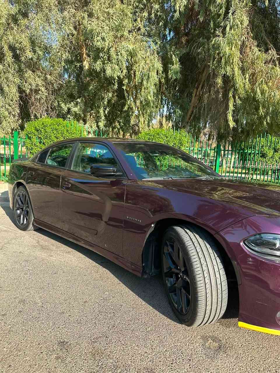 جارجر 2022 rt 5700 super track pak
Black top 
هزة جديدة 
كشن السايق كهرباء 
كشنات حضن مخمل
تدفئة بالمراية الجانبيه 
مرايا جانبيه سود بلادي 
شفقة جامة خلفية
شاشة جبيره كار بلي 
كروس مثبت سرعة
دكمة سبورت + super track pak
ماشية 50 mi
(بدون صبغ بدون تبديل بدون pdr)
جاهزة من كلشي وعليه بولش و نانو سيراميك جديد 
لد انارة داخليه متغير
لد ترحيب بلابواب R/T
دخول ذكي 
عليهه دبات سود بلادي + slp كورسا 
دفيوزر مشيف
شفقة خلفيه 
عليه اويل كاج كان 
السياره ستوك بدون برمجة بلاديه بالكامل
+دفيوزر احتياط مشيف أنكر
+ دركة عمل كاربون فايبر مضلع

: هزه جديده سنوية جديده 
مكاني  بغداد السيدية 
بأسمي السياره تحويل ثاني يوم 
 
السعر / 273 $ ورقه وبيها شي بسيط

***********
