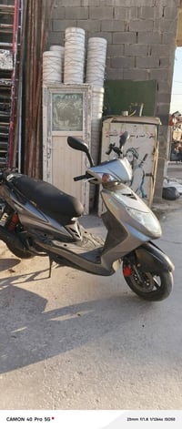 سكنس فحل • نوزل • بيه مجال