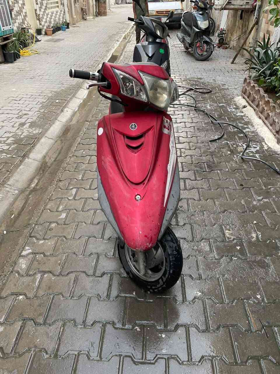 بريز • بغبغاء • شهرين