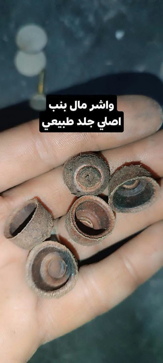 اغراض طباخ نفطي • فتيلة فانوس ولآلة • توصيل