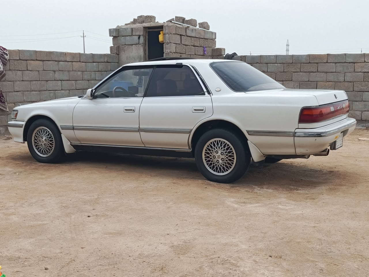 شيزر كصيف • ١٩٩٢ • رقم بصرة