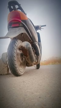 عصفوره • فول 60 • مجال بسيط