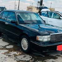 ارنب محور • بيجي • سنوية خضرة