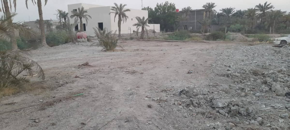 الطريزاويه • ١١٠٤م • طابو صرف