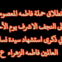 قضاء الصويره • النجف الاشرف • حملة فاطمة المعصومة