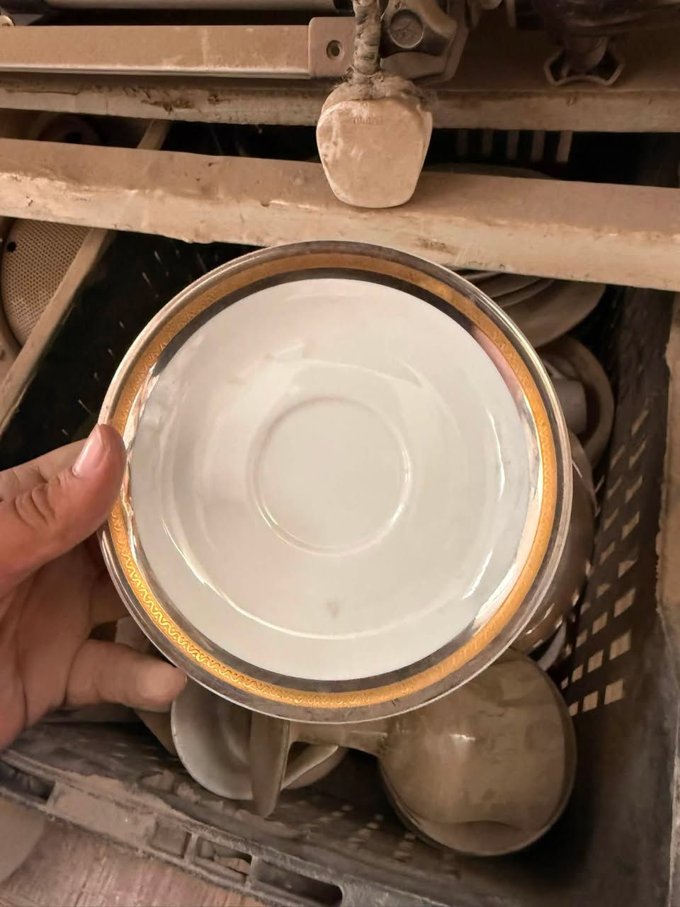 للبيع سيتات كلاصلات وسيتات كوابه وقواري وسيتات اماعين فرفوري جديده غير مستعمله اصليه 
المكان بغداد / بغداد الجديدة 
للاستفسار ***********
