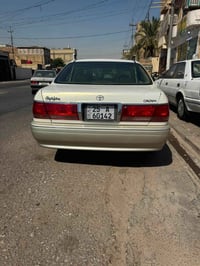 نجف عباسية • ضربة قوية • رقم كركوك