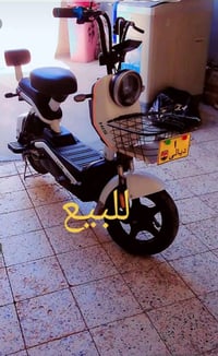 بايسكل شحن • حالة بسيطة • ديالى