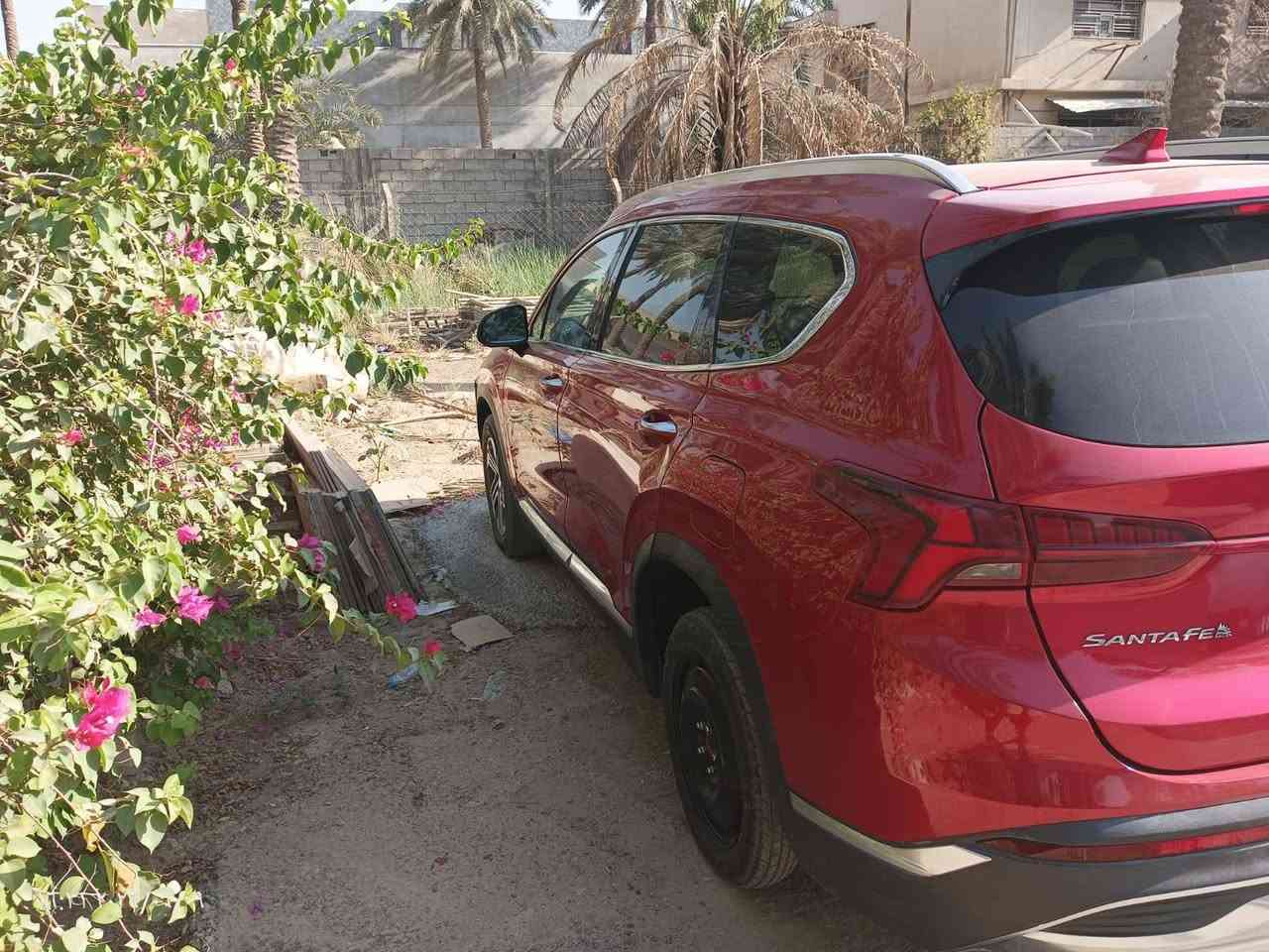 سنتافيا ٢٠٢٣ • بنوراما • بدون رقم