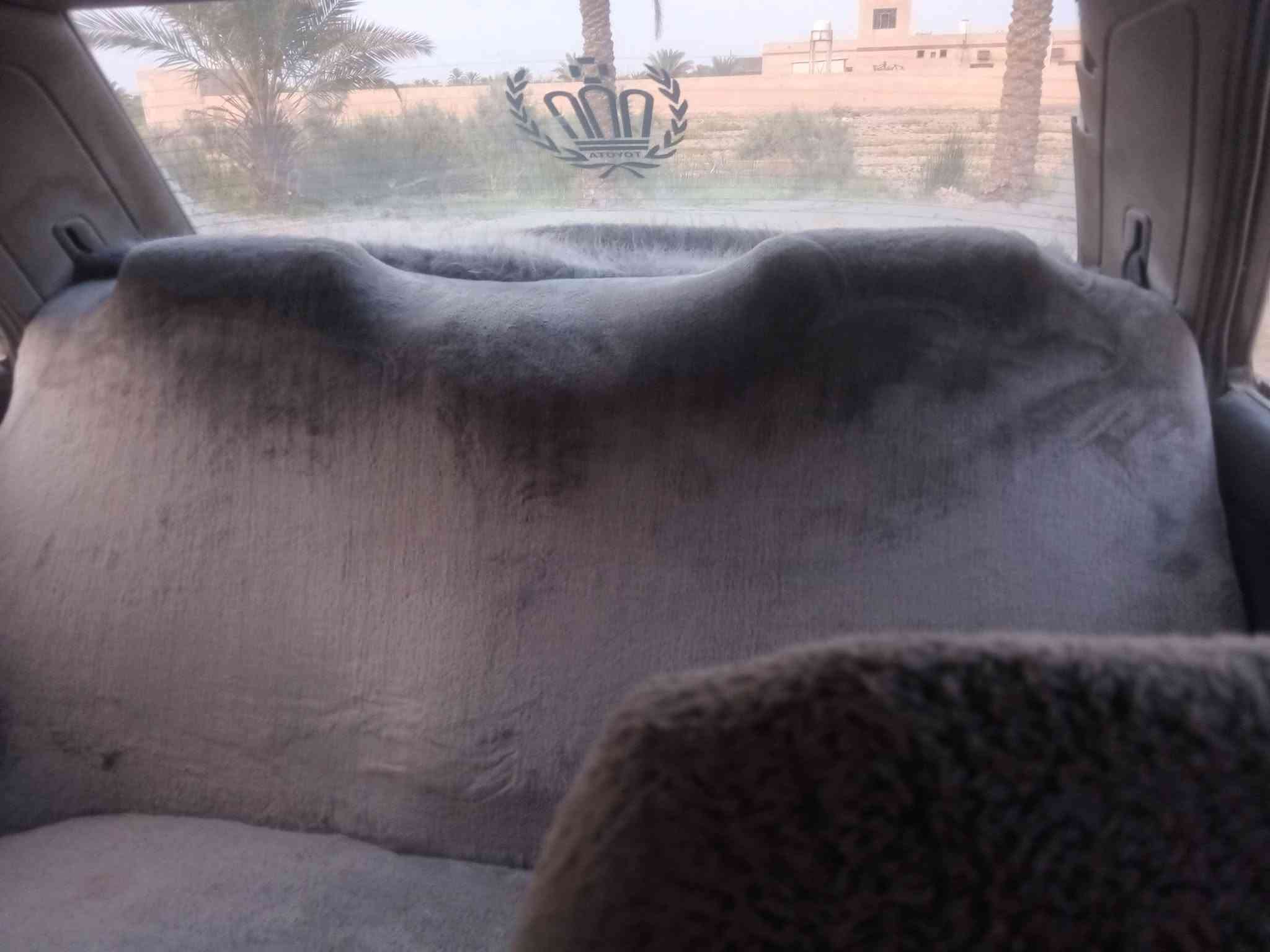 سياره موديل 91 كير وحرك على شرط حدايه جاهزه تبريد شغل بس غاز عوزه شرط تخم تاير كهربائى شغاله كله من طول الطول سياره بيه رشات صبغ بدون ضربه سنويه جديده التسعة وعشرين   حالين سياره موجوده ناخذ عليه دالاليه اتصل على الرقم ***********
