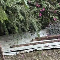 جينكو • اعمدة • بي ار سي