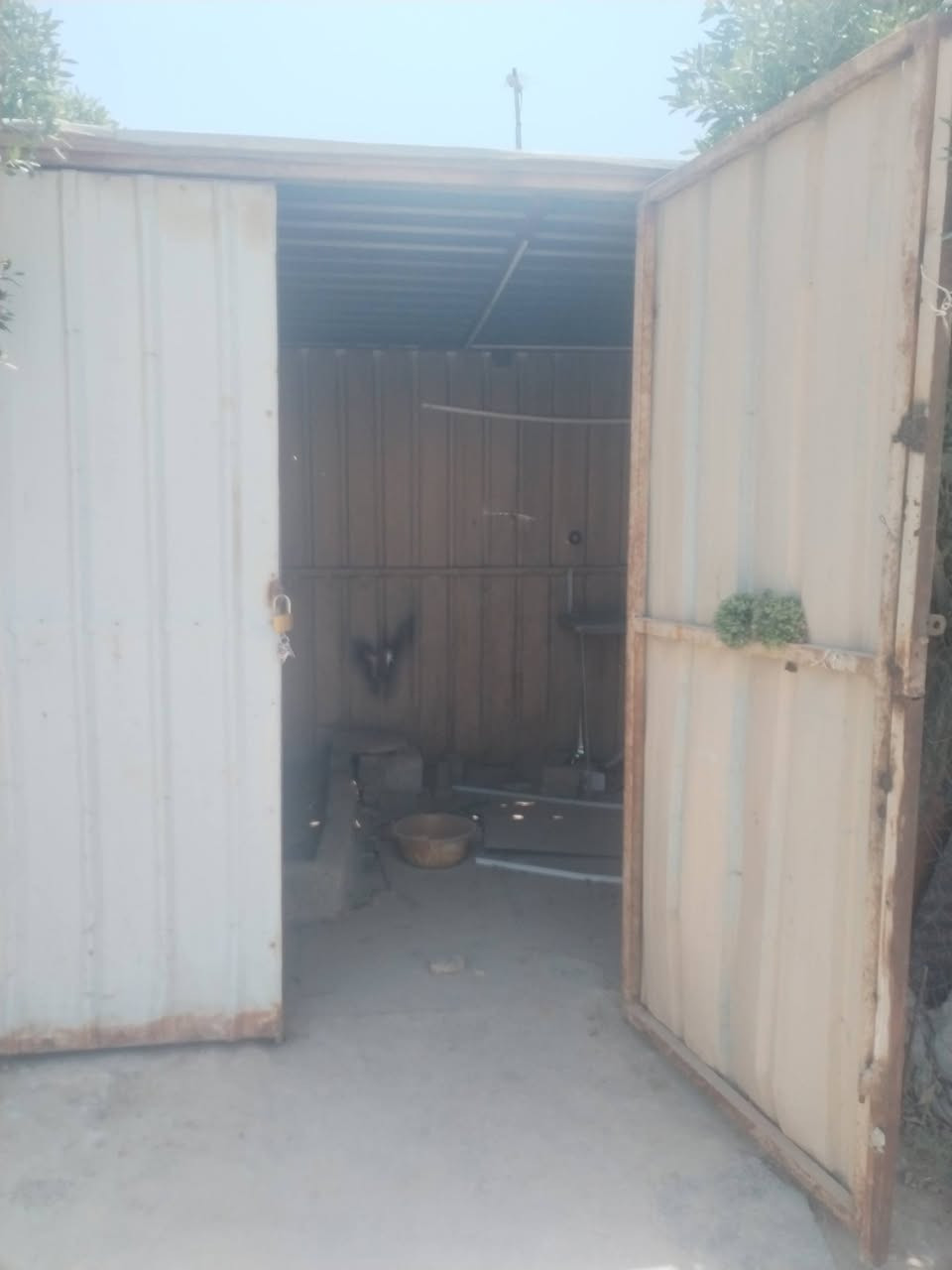 كشك البيع العرض 3 وطول 3 سعر 250 الستفسار ***********
