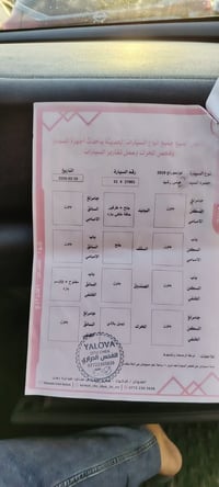 سبورتاج • ٢٠١٩ • وارد امريكا