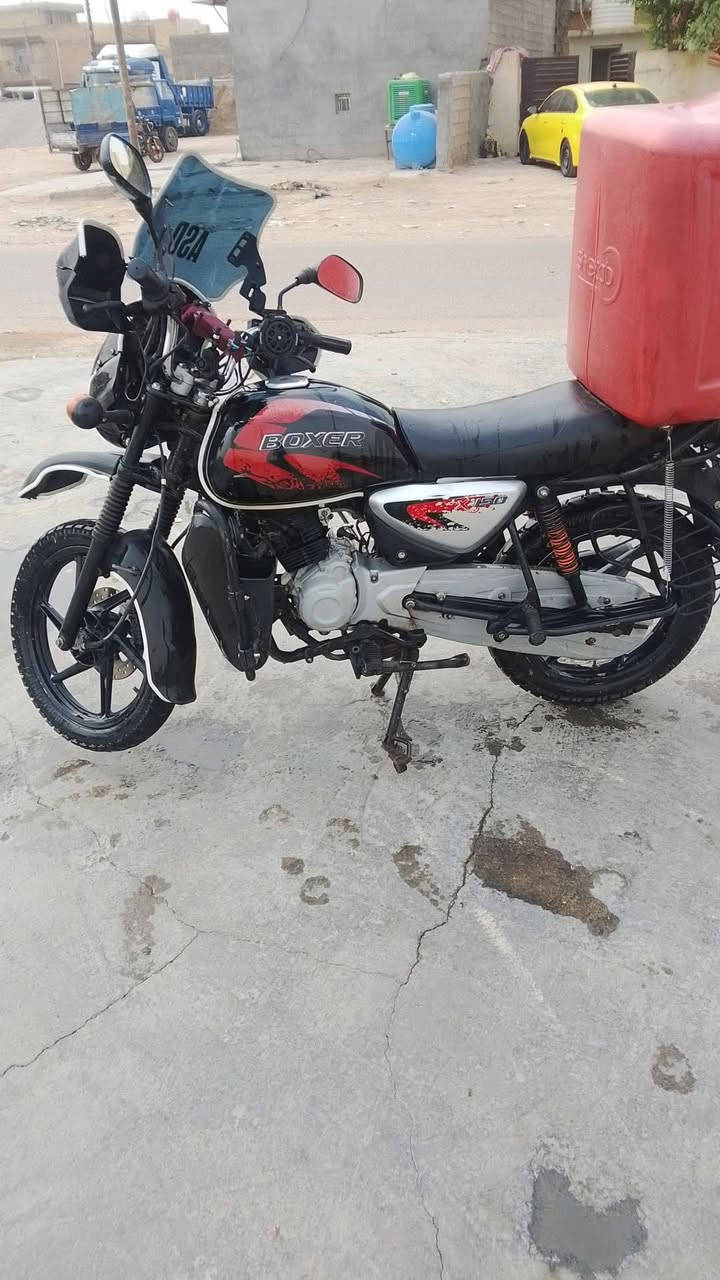 بوكسر • جبلي • ٢٠٢٢
