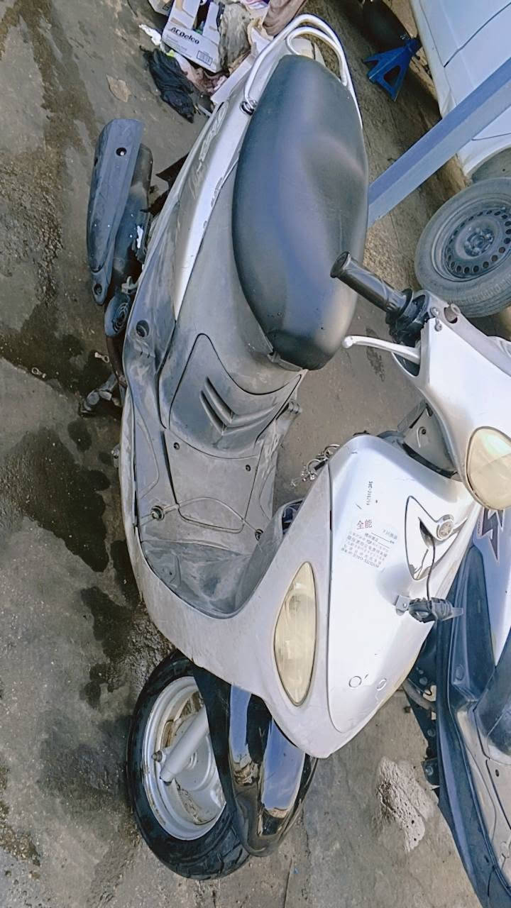 ماكس منغولي • نضيفه • المعالف