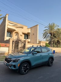 سيلتوس • ٢٠٢٥ • فيروزي