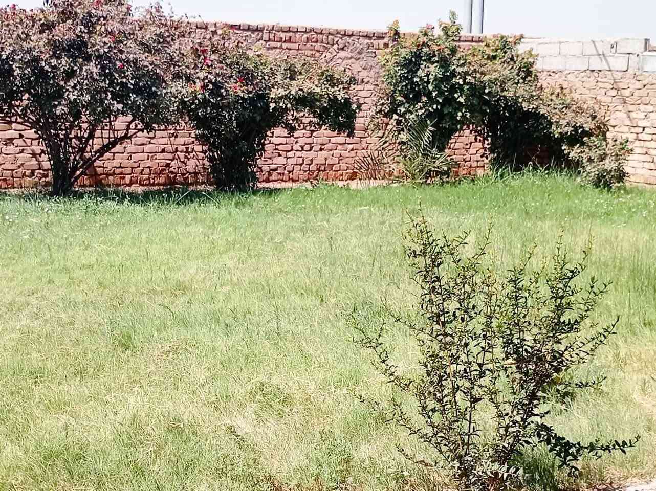 بستان مع دار للبيع بسعر مناسب – فرصة مميزة جداً 🔥🌴
📜 سند 25 – تحويل مباشر باسم المشتري
📐 المساحة: 3.5 دونم
📏 الأبعاد: ▪️ الواجهة: 60 متر على شارع رئيسي ▪️ النزال: 145 متر
📍 الموقع: قضاء بلد – الحضيرة الغربية / شارع المحطة 📌 نهاية الحضيرة الغربية باتجاه المحطة، داخل فرع، وقريب جداً من الشارع العام، يبعد حوالي 150 متر عن الشارع العام مقابل المحيشات.
🌳 البستان مرتب ومزروع بمختلف أنواع الأشجار: 🌴 نخيل 🍊 حمضيات 🍎 رمان 🍏 تفاح 🍐 عرموط 🍑 گوجة 🌿 تين 🍑 آلو
🏡 يوجد داخل البستان بيت طابقين مبني بالطابوق، يحتوي على: ▪️ 6 غرف نوم ▪️ مطبخ ▪️ حمامين ▪️ هول ▪️ استقبال
✅ الخدمات المتوفرة: ⚡ كهرباء 💧 ماء إسالة 🌐 إنترنت ضوئي
💰 السعر مناسب جداً
🌟 بستان متكامل وموقع مميز، مناسب للسكن والاستثمار أو إنشاء منتجع ومشروع سياحي.
📞 للاستفسار أكثر الاتصال: ***********
📍 أو زيارة مكتبنا: قضاء بلد / الجمعية الثانية / على الشارع الرئيسي مقابل روضة دار الأمان الأهلية مجاور كرزات الشيخ
✨ فرص مميزة للبيع والشراء ✨
متوفر لدينا: 🏡 القطع السكنية 🏠 البيوت 🌳 المزارع والبساتين 🏕️ المنتجعات 🏢 العقارات الاستثمارية 📜 الطابو الصرف 🌾 الأراضي الزراعية 🏗️ المقاولات
🤝 المصداقية والثقة أساس تعاملنا
#الرائد_للعقارات_والاستثمار 
جعفر رائد الربيعي
