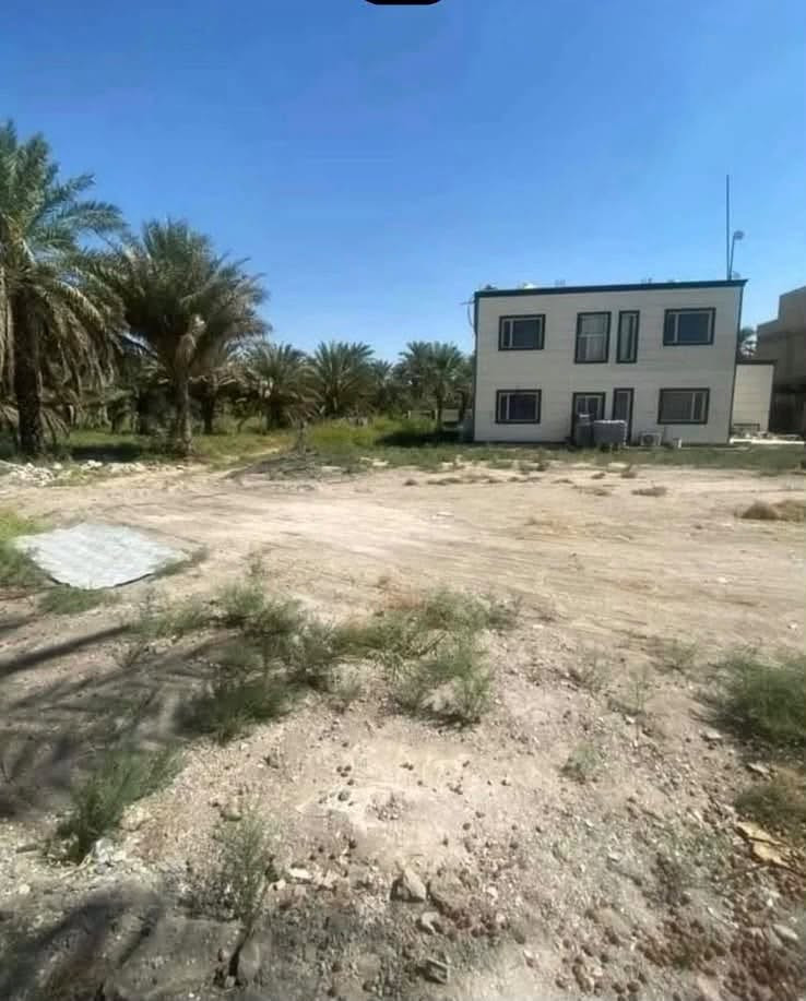 البوعيثة • مزرعة • ٢٥٠٠م