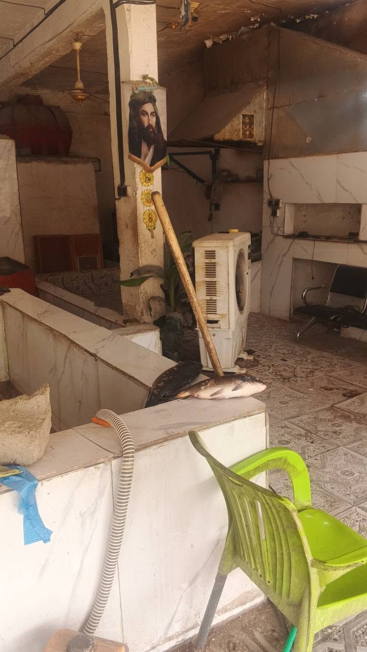 مطعم جاهز • مشويات مسكوف • كربلاء الجاير