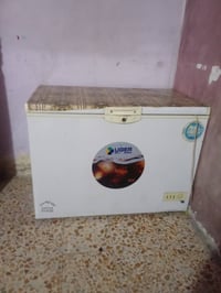 مجمدة • للبيع • بيه مجال