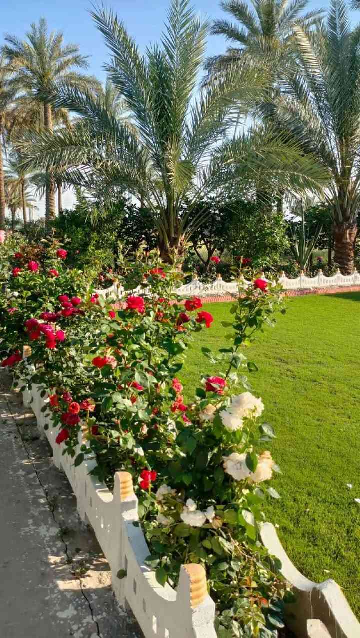 السلام عليكم يتوفر للديكور حدائق وأسعار مناسبة استفسار مراسل الصفحة او الاتصال على الرقم *********** فقط صار القطعه ٢٢٥٠
