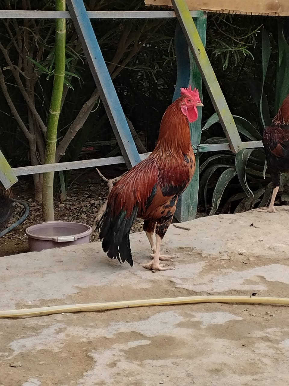خاص • للاستفادة • متفرقات