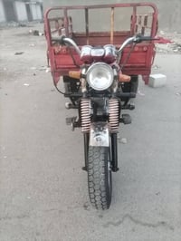 ستوته • دايوان • ٢٠١٩