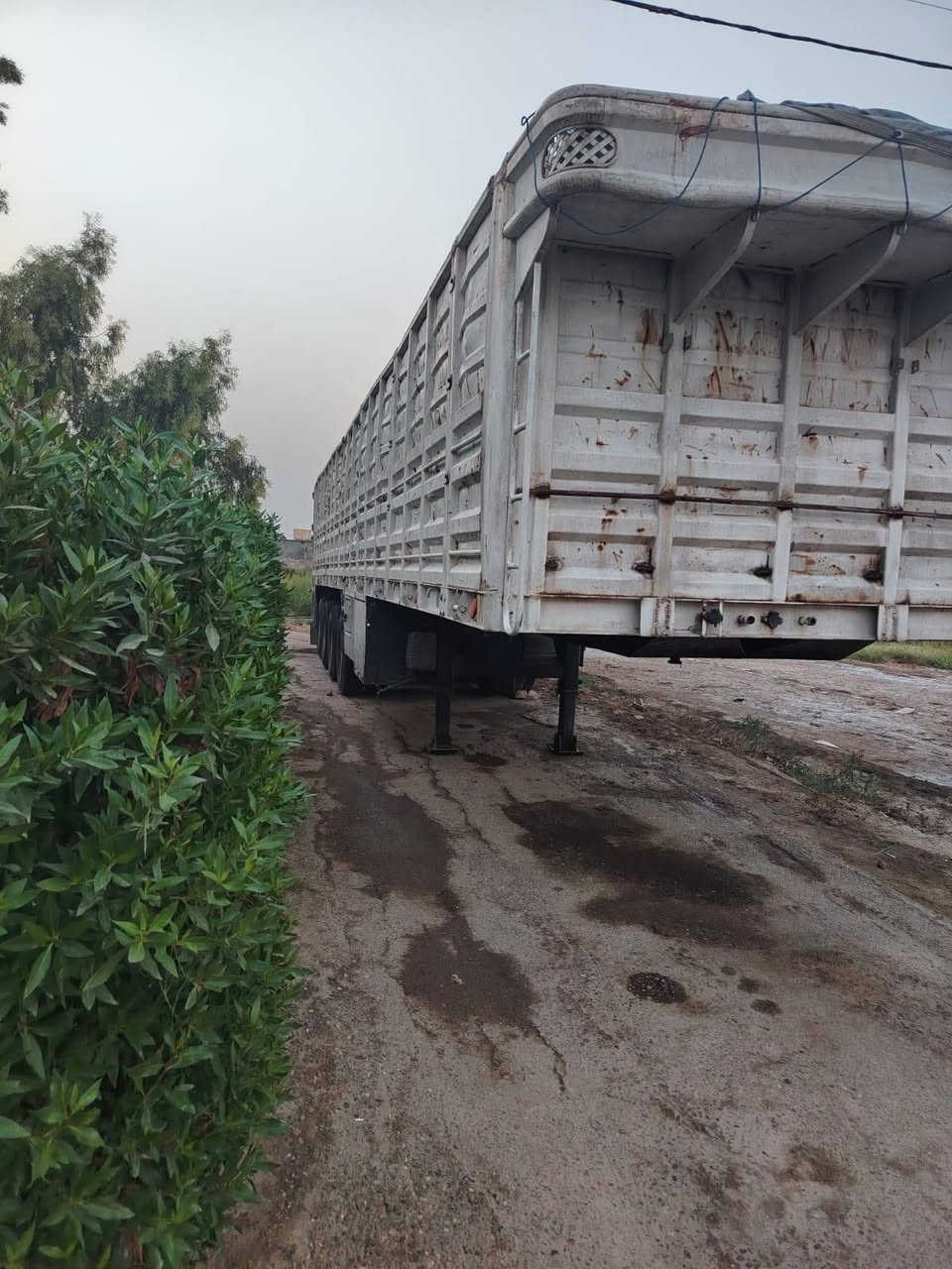 عربانه للبيع مكفوله طول 13/60جاهزه للشقل تخم تاير دناكير 14صيني مكانه بغداد ابي غريب السعر 110$
***********
***********
 عربانه للبيع مكفوله طول 13/60جاهزه للشقل تخم تاير دناكير 14صيني مكانه بغداد ابي غريب السعر 110$
