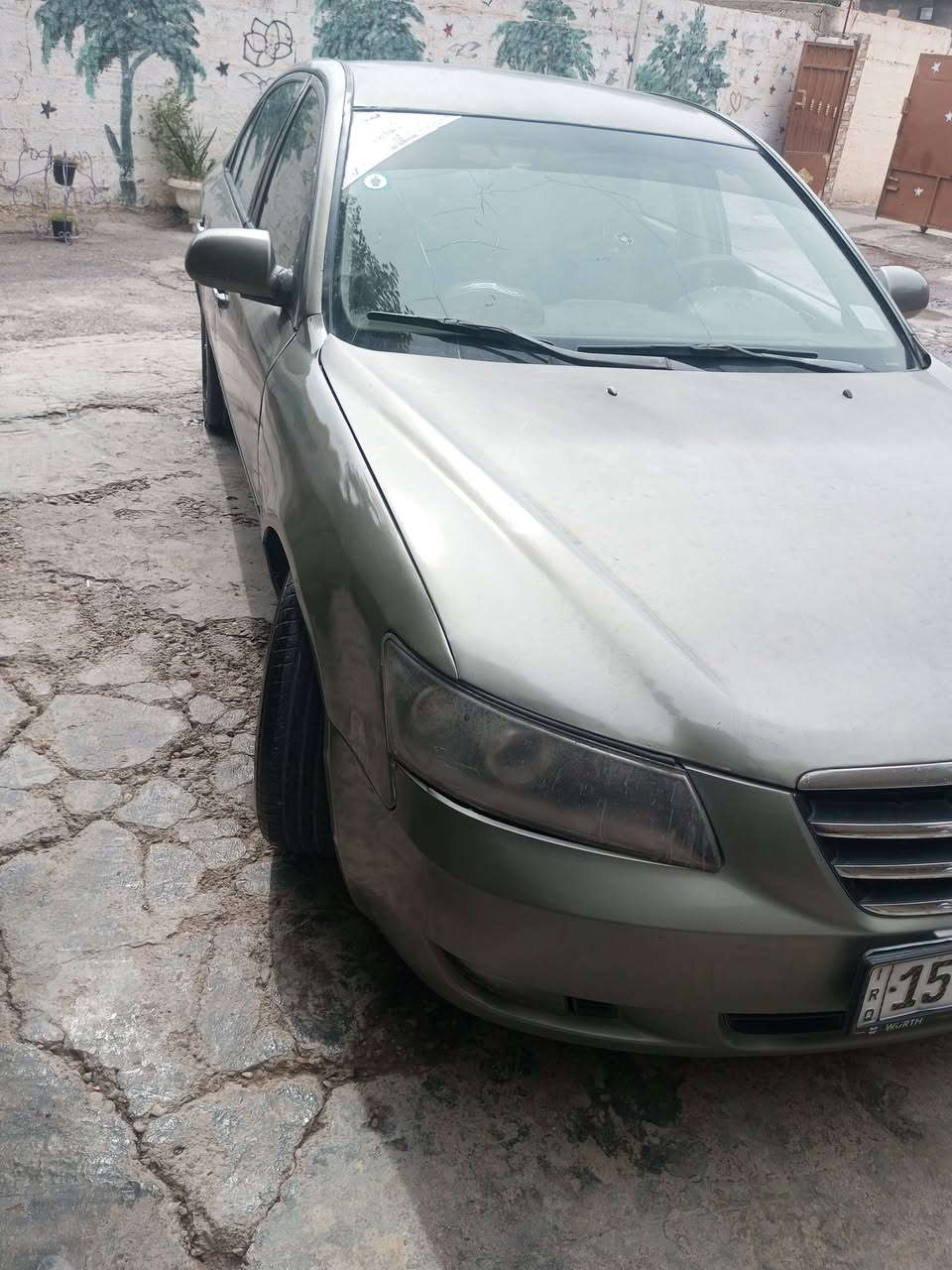 سوناته 8 • مصبوغه • التاجي