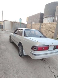 مارك • تحتاج صبغ • كفاله ٢٠٢٨