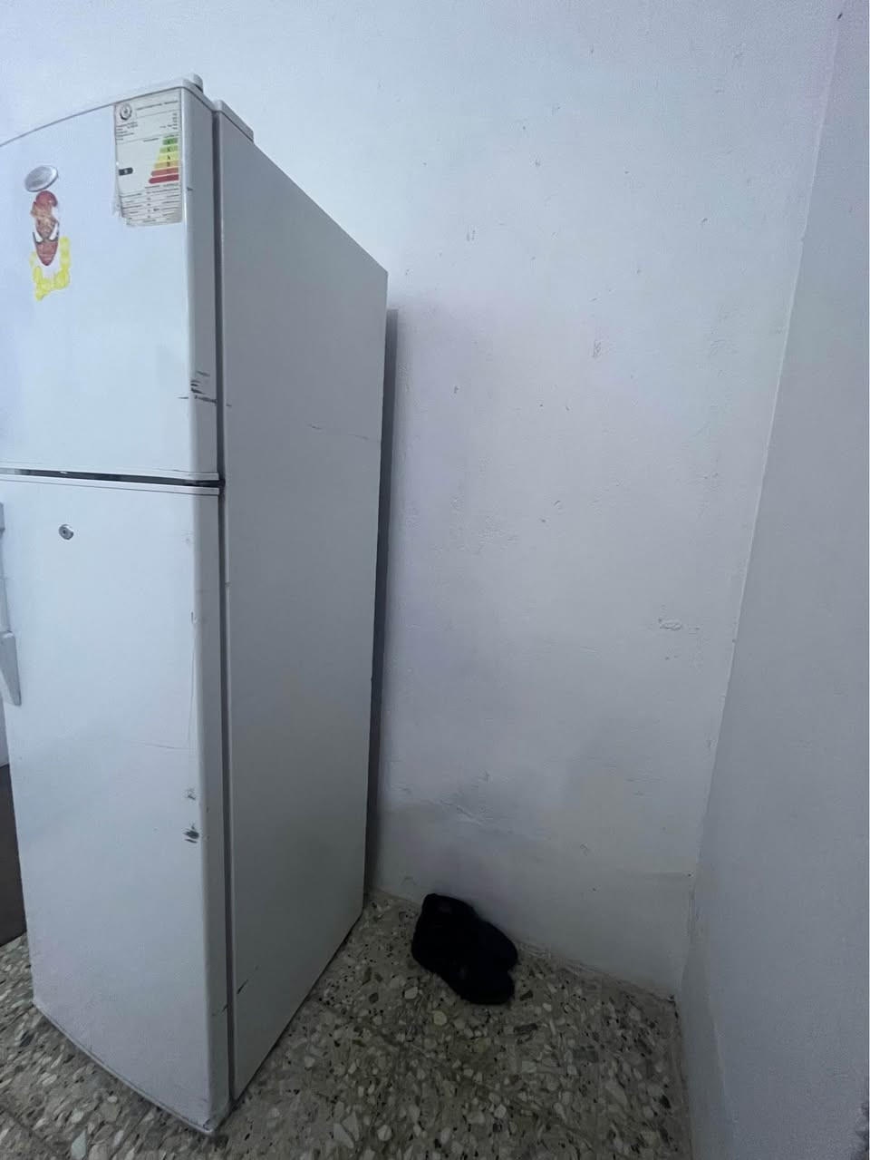 ثلاجه رويال  طولها 170نضيفه شغاله وعلى الفحص سعرها 150 وبيه مجال المكان نهايه الشعله منطقه الدهله *********** بغداد, العراق
