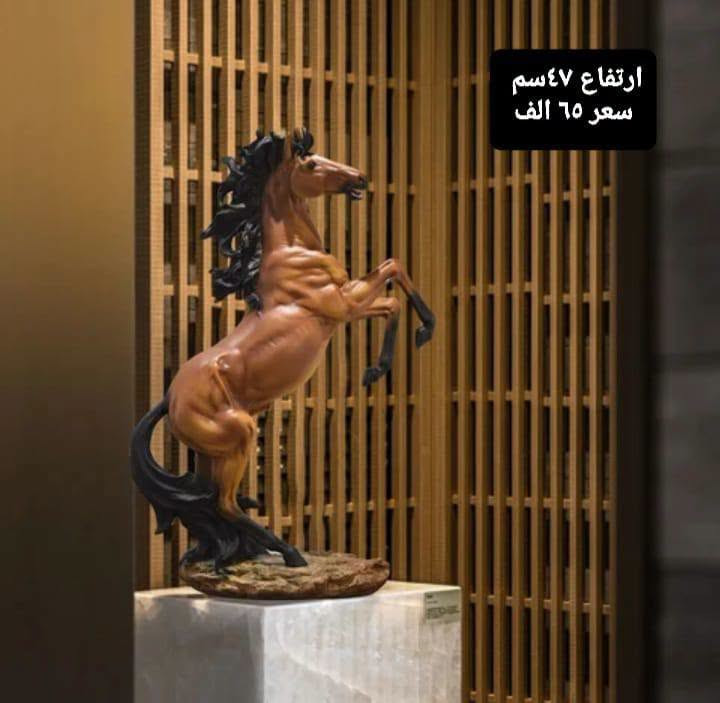 هدية • مقاسات مختلفة • توصيل لكل العراق