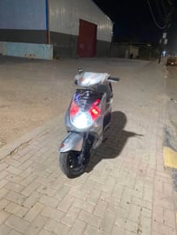 سكنس فحل • نوزل • زنون