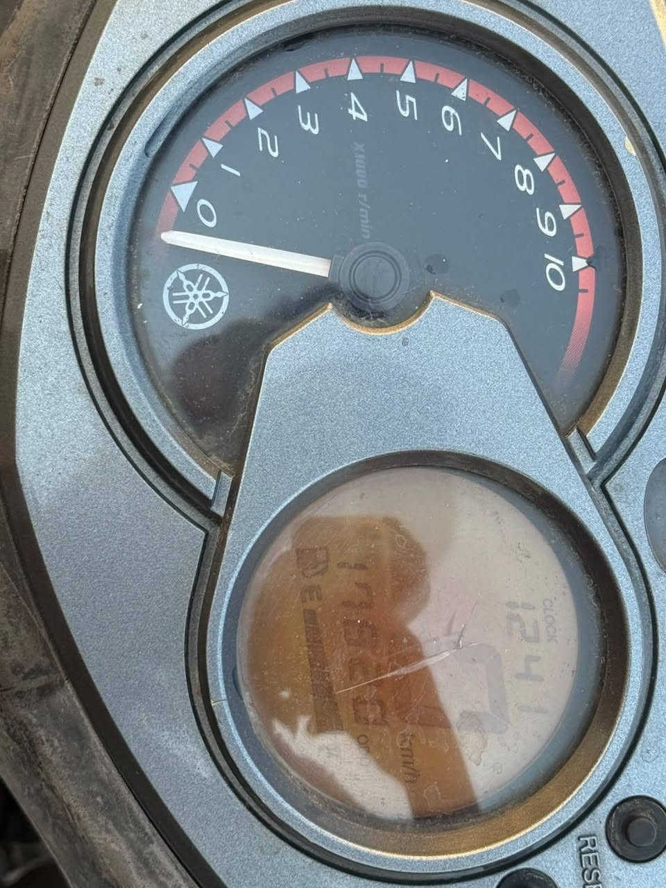 سلام عليكم سكنس فحل للبيع كوم حديد  مكاني زعفرانيه سعر٢٥٠ ***********
