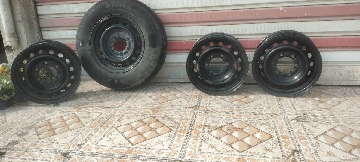 تخم ويل • حاوية ياباني • حجم ١٥