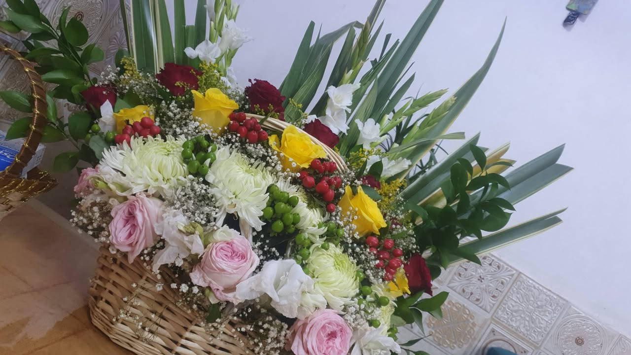 ورود طبيعية • ألوان حلوه • بغداد