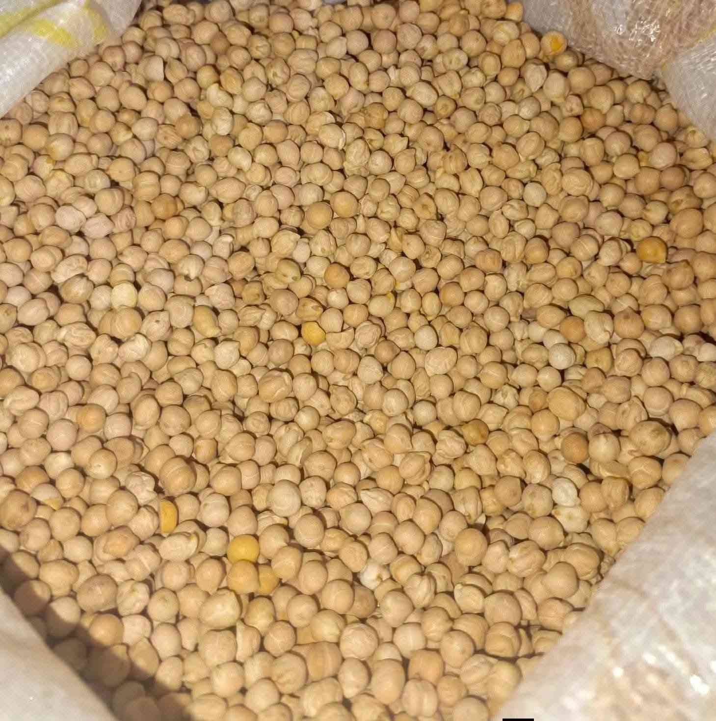 مبرده شغاله للبيع شرط النضافه نفس صور 

حمص للبيع 147 كيلو 
مكان قضاء القاسم ع لرقم ***********
