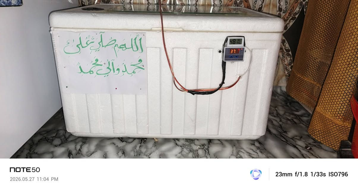 سلام عليكم فقاسة للبيع تقليب يدوي شرط تفقيس ولشد شرط نضيفة كلش ستعمال قليل بعدهة جديدة تشيل 80 بيضة وفوك  سعر قفل 75 مكان قرنة رقم ***********

نص مكتوب في الصور:
- NOTE 50 2026.05.27 11:04 PM 23mm f/1.8 1/33s ISO1319
- NOTE 50 2026.05.27 11:04 PM 23mm f/1.8 1/33s ISO796
- NOTE 50 2026.05.27 11:04 PM 23mm f/1.8 1/50s ISO514