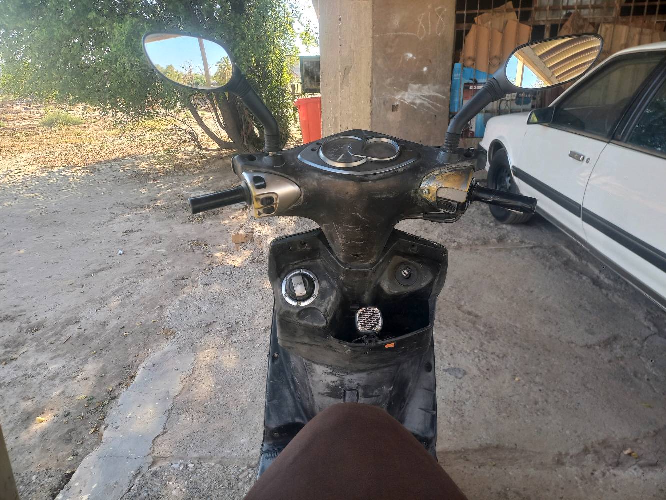 سكنس فحل للبيع 
دراجة تخبل شلعة ومعدل فول مكينة نشطة تجفيت صحيح ومضبوط كفرات بلادية دراجة كاملة نقص مابيها  نوزل اوراق كاملة السعر 465وبيها مجال ومراوس همين مكان بغداد النهروان شارع السايد الواحد للستفسار ***********